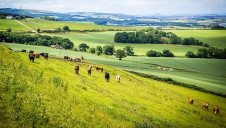 It is thought that food and drink by-products alone could produce an extra £500-£800m for Scotland’s economy